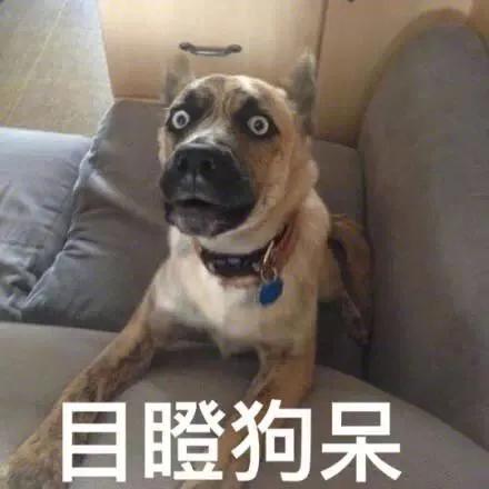 配资免息公司怎么赚钱_免息配资平台赚什么_免息配资公司