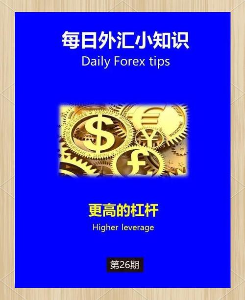 股票杠杆是什么意思_常见的加杠杆方法_金融投资领域加杠杆含义