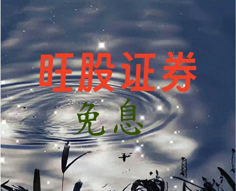 股票杠杆平台核心价值大揭秘！实盘验证法和操作铁律都在这儿了