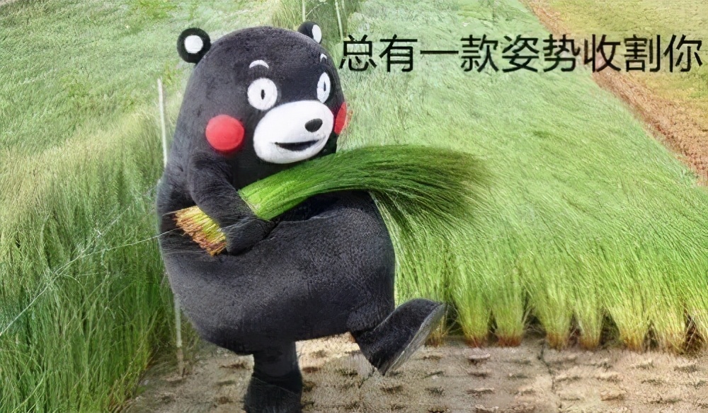 场外配资法律风险_上海股票配资平台_最高人民法院九民纪要配资规定