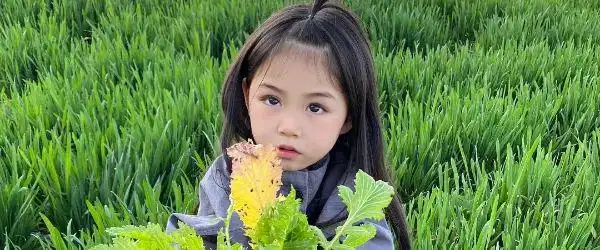 炒股加杠杆怎么操作_高龄老人加杠杆炒股 券商追债 两融业务年龄限制
