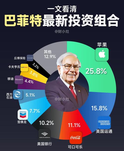 巴菲特选股标准_股票扛杆_巴菲特投资策略