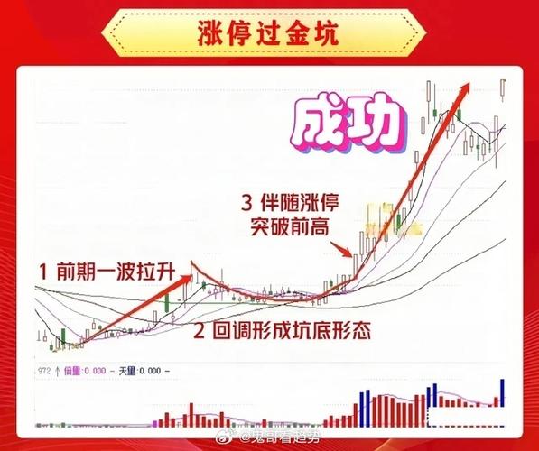 迎金配资_配资资金什么意思_配资金主