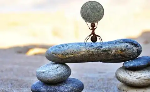 炒股被套？掌握这些技巧，讲概率少冒风险多赚钱