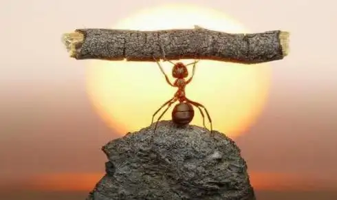 怎么买股票 投资必备耐心！掌握这几点，投资之路更从容