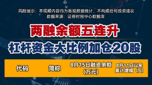 融资融券交易风险_两融市场投资者收益分析_炒股加杠杆