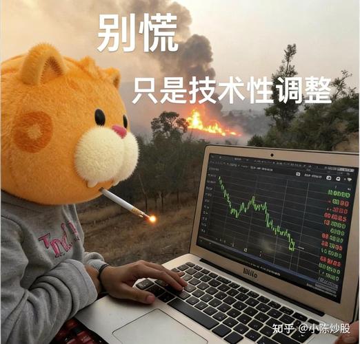 炒股能赚钱吗_A股结构性分化行情_高位指数低个股行情
