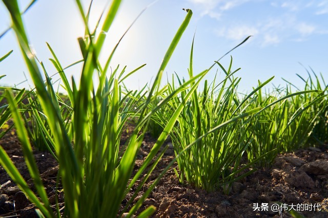 配资门户_股灾配资经历_退学炒股从1万到3000万