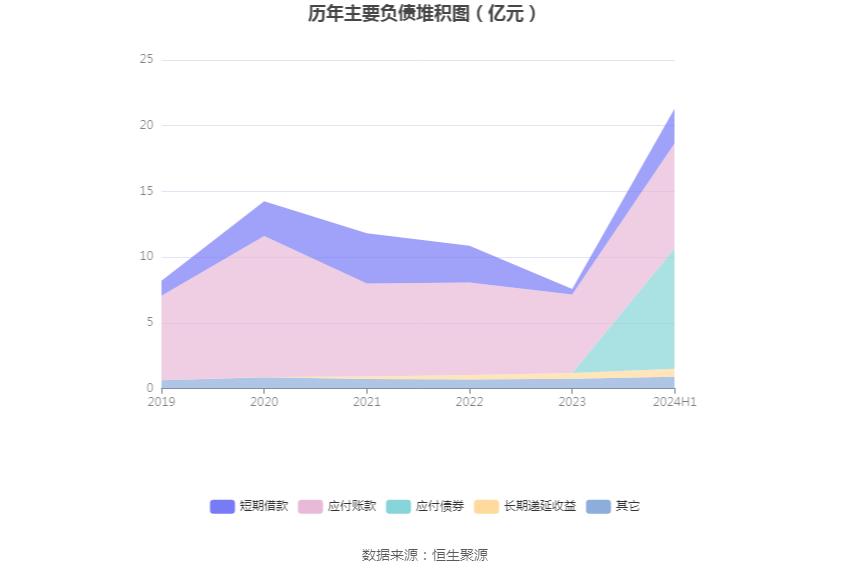 佳禾资本_佳禾智能财务分析_佳禾智能2024年半年度报告