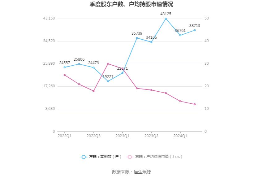 佳禾智能2024年半年度报告_佳禾资本_佳禾智能财务分析